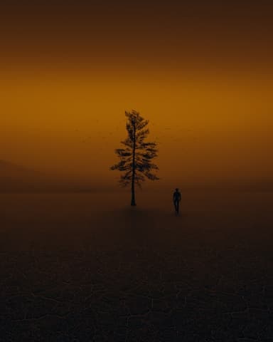 Chuyên gia tư vấn tâm lý: người đồng hành cùng tâm hồn bạn