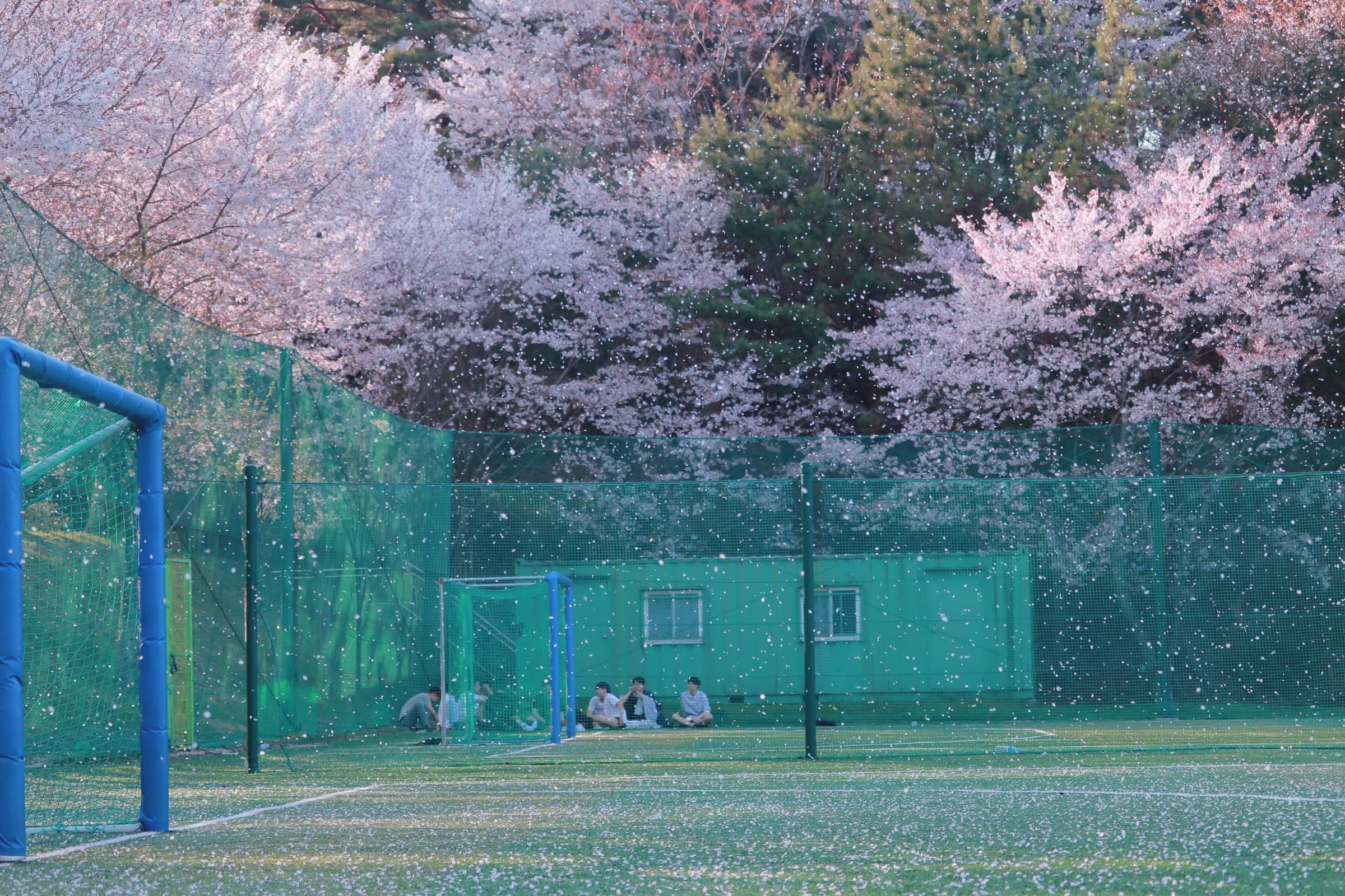 Cậu… Tìm gì ở đây vậy ?