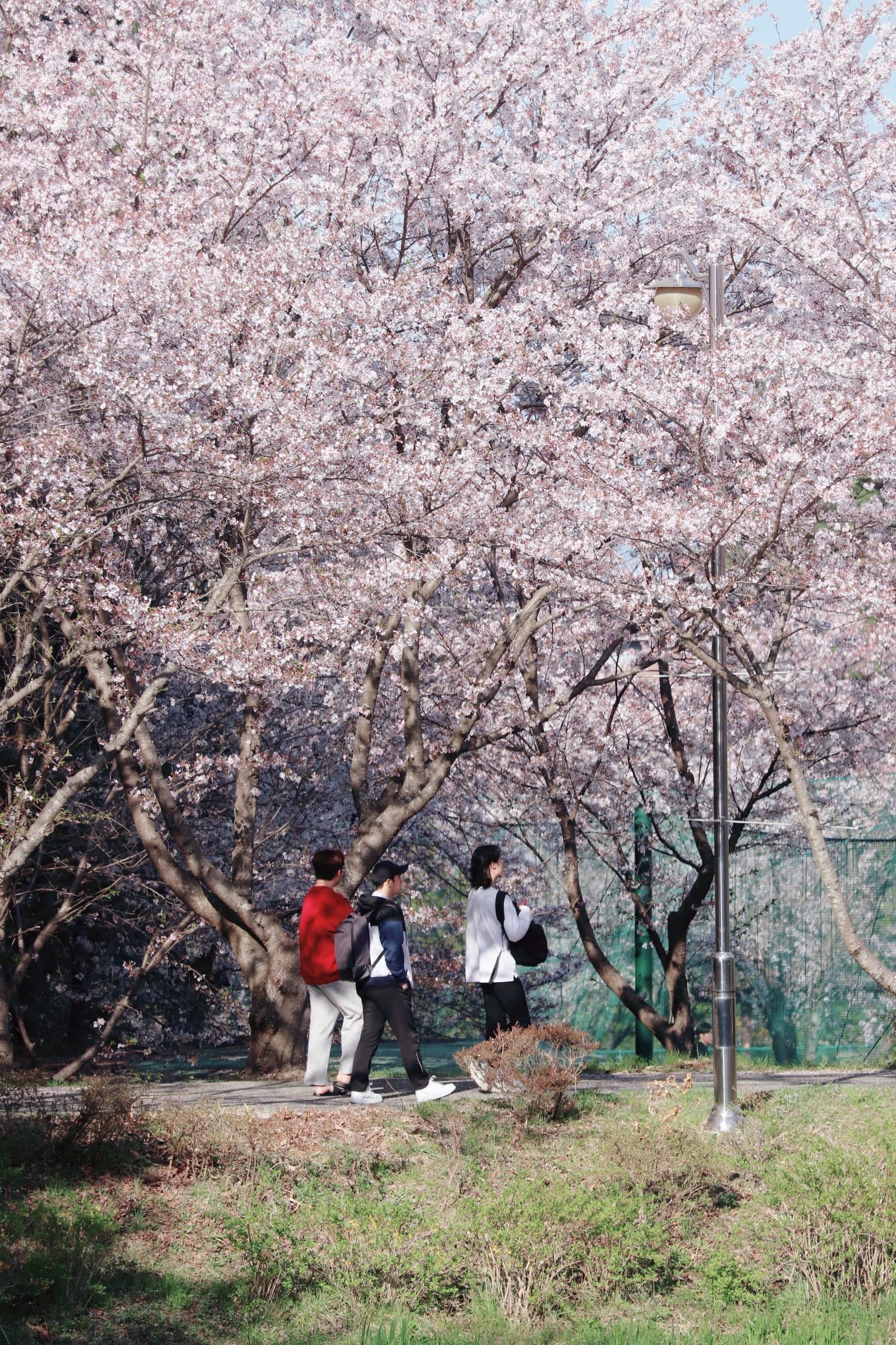 Suy nghĩ - Cảm xúc - Hành động: Một vòng lặp hay một sự lựa chọn?