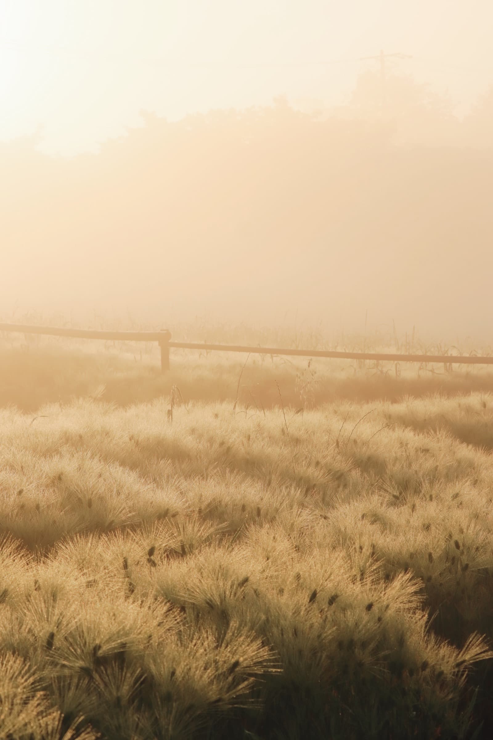 Dừng chân và Đi qua Trầm Cảm